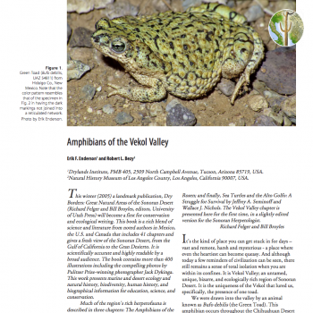 Cover of Amphibians of the Vekol Valley