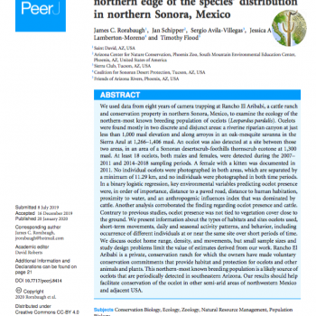 Cover of Ecology of an ocelot population at the northern edge of the species’ distribution in northern Sonora, Mexico