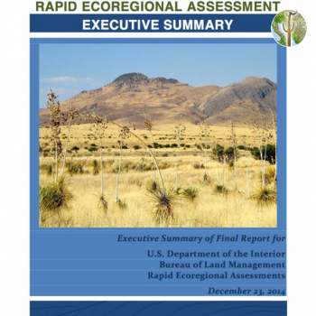 Madrean Archipelago Rapid Ecoregional Assessment - Executive Summary cover