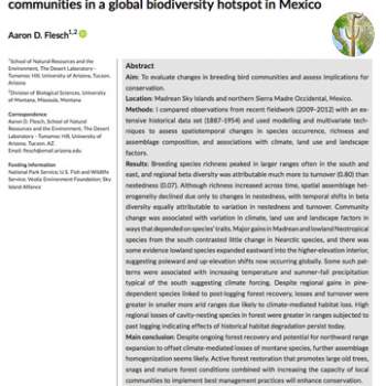 Patterns and drivers of long-term changes in breeding bird communities in a global biodiversity hotspot in Mexico
