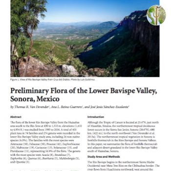 Preliminary Flora of the Lower Bavispe Valley, Sonora, Mexico cover