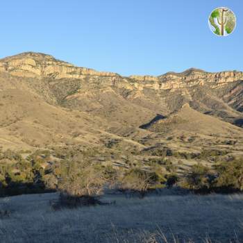 Atascosa/Tumacacori Mountains