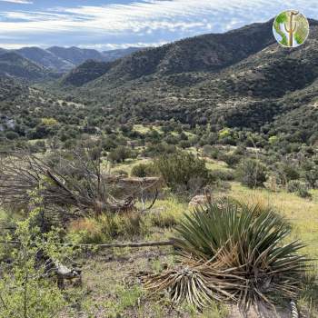 Peloncillo Mountains