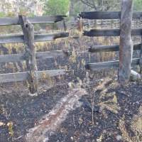 Wildfires raging near Rancho Pan Duro