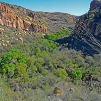 Cajón del Agua, near Estacion Llano, Sonora