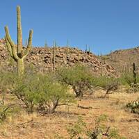 Pozo Verde Mountain scene with mesquite grassland, saguaros, and granitic boulder-strewn hills