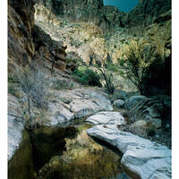 Swamp Springs Canyon, Galiuro Mountains (Bob Van Deven)