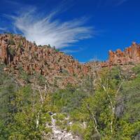 Cliffs, sky, and sycamore in Devil's Canyon, Arizona
