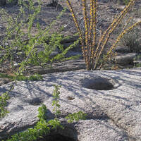 Native American grinding holes