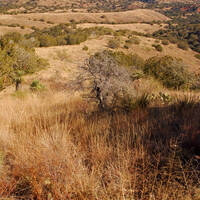 Rosemont Valley in the Santa Ritas