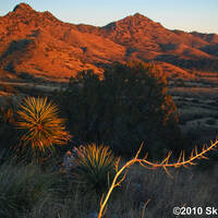 Rosemont Valley in the Santa Ritas