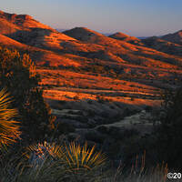 Rosemont Valley sunrise in the Santa Ritas