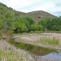Santa Cruz River, San Lazaro, Sonora