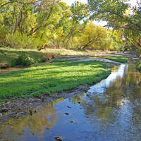 Santa Cruz River at Tubac