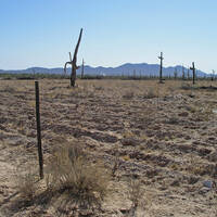 Tilling and blading of Sonoran Desert for buffelgrass