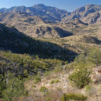 Upper Bear Canyon, Santa Catalina Mountains