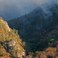 Wildfire in the Sierra Madre of Sonora