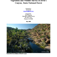 Vegetation and Wildlife Survey of Devil’s Canyon (Gaan Canyon), Tonto National Forest (May 2009)