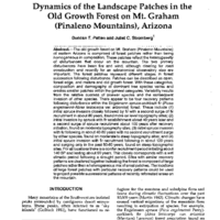 Dynamics of the Landscape Patches in the Old Growth Forest on Mt. Graham (Pinaleno Mountains), Arizona