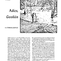 Adios, Gavilan, Starker Leopold, 1949