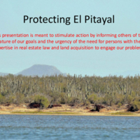 Protecting El Pitayal, conserving coastal thorn-scrub in Sonora