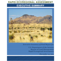 Madrean Archipelago Rapid Ecoregional Assessment - Executive Summary