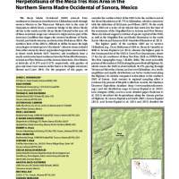Herpetofauna of the Mesa Tres Ríos Area in the Northern Sierra Madre Occidental of Sonora, Mexico