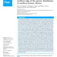 Ecology of an ocelot population at the northern edge of the species’ distribution in northern Sonora, Mexico