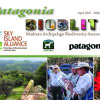 Patagonia Mountains BioBlitz Report