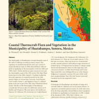 Coastal Thornscrub Flora and Vegetation in the Municipality of Huatabampo, Sonora, Mexico