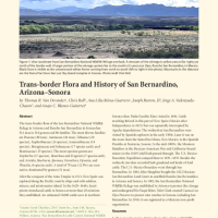 Trans-border Flora and History of San Bernardino