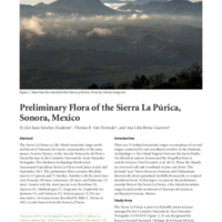 Preliminary Flora of the Sierra La Púrica, Sonora, Mexico