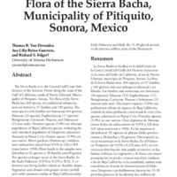 Flora of the Sierra Bacha, Municipality of Pitiquito, Sonora, Mexico