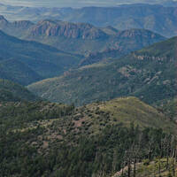 Chiricahua Mountains