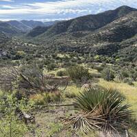 Peloncillo Mountains
