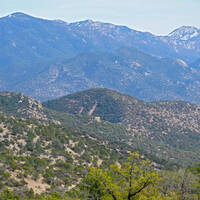 Huachuca Mountains