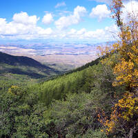 Pinal Mountains, Arizona