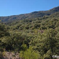 Sierra Aconchi