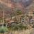 Riparian vegetation, Redfield Canyon