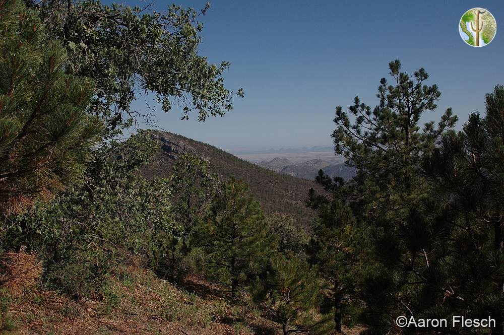 Sierra de los Ajos