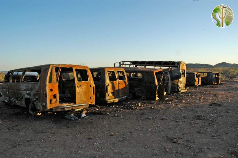Burned out migrant vans, Sonora