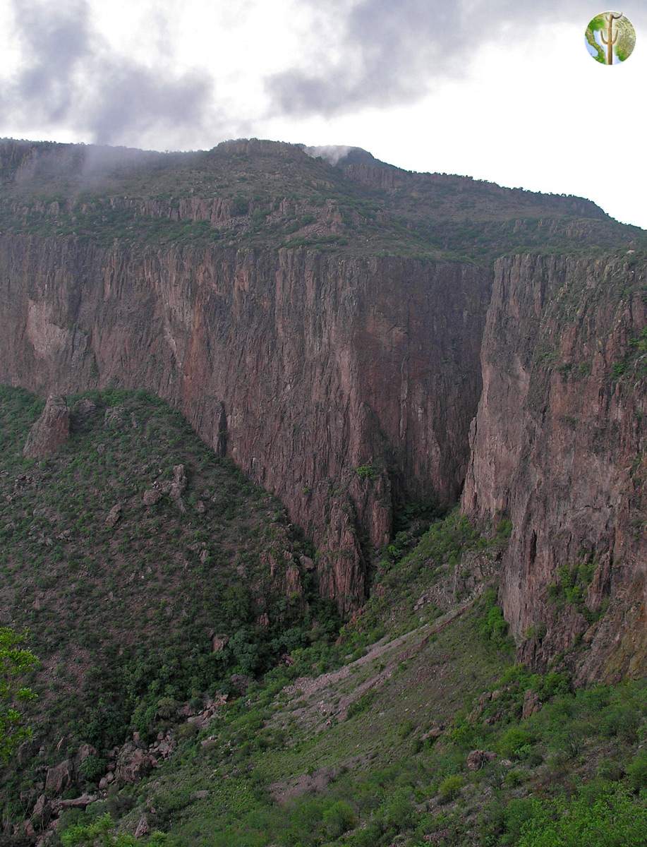 Cajon del Diablo, Sonora