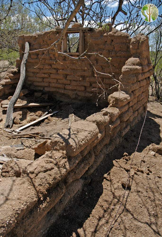 Photo: Crumbling adobe at Pozo Verde, Sonora