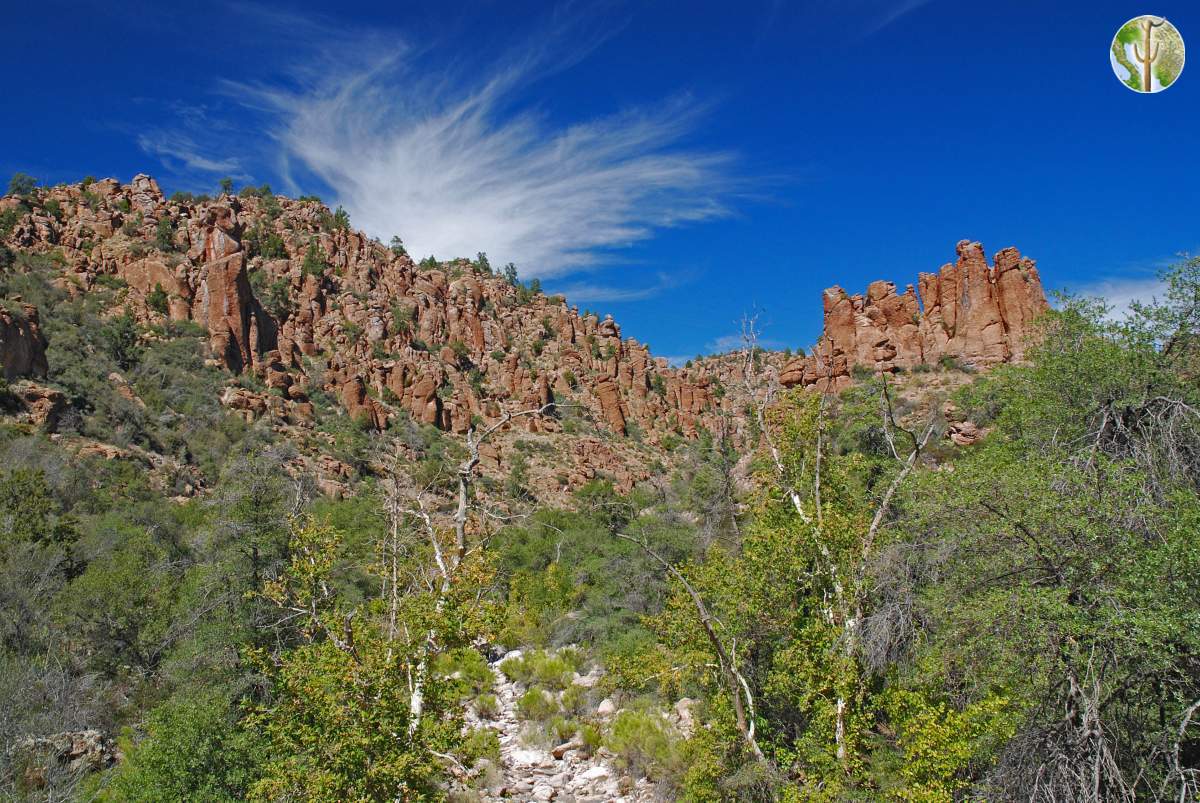 Cliffs, sky, and sycamore in Devil's Canyon, Arizona