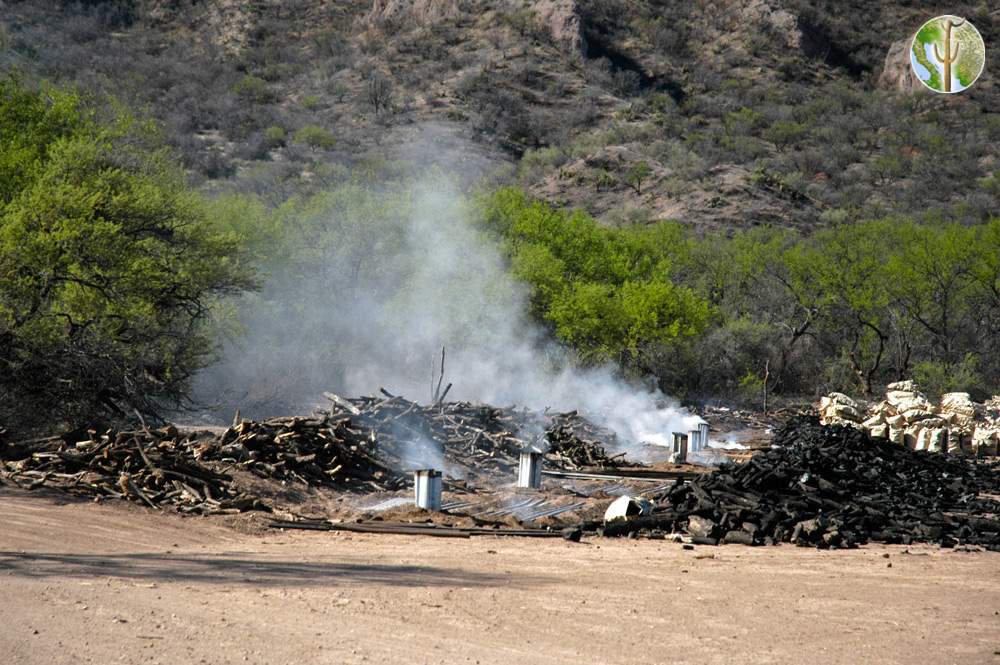 Photo: Mesquite charcoal making in the Sonoran back-country