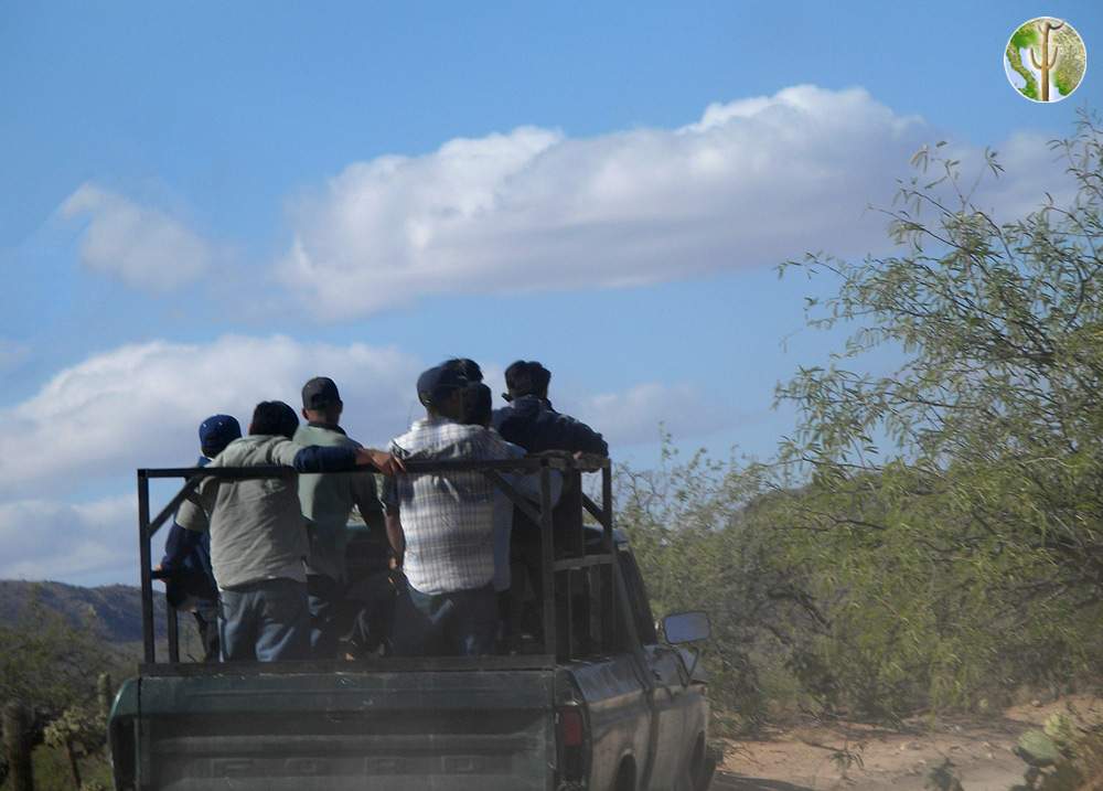 Migrants in pickup truck headed to border