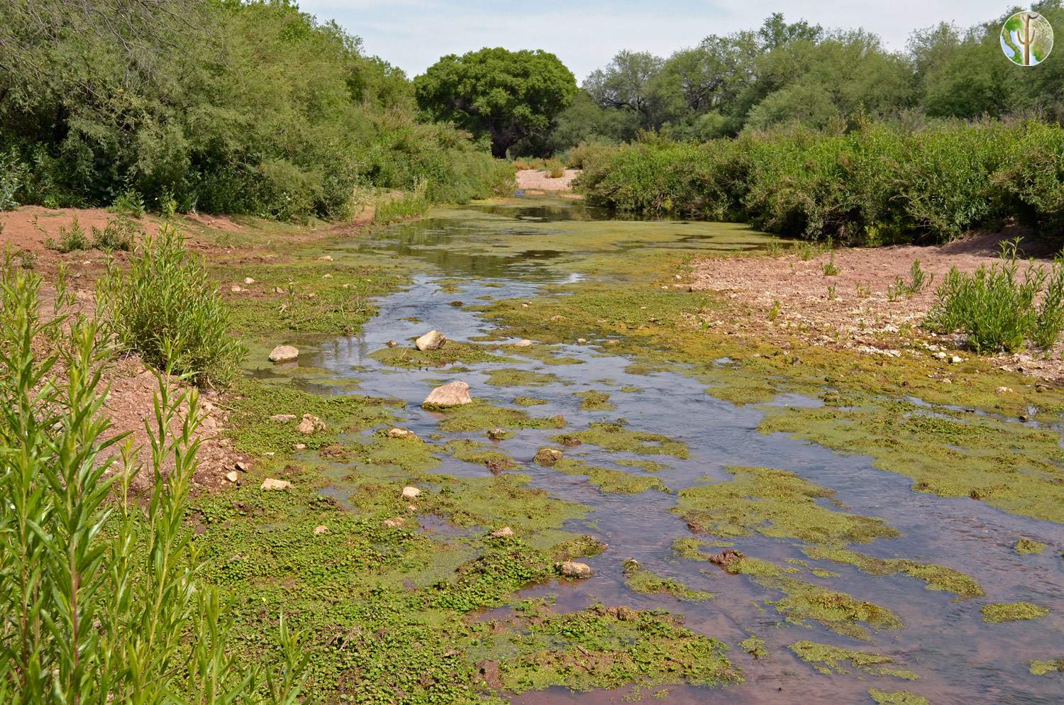 Rio Altar with water, Sonora