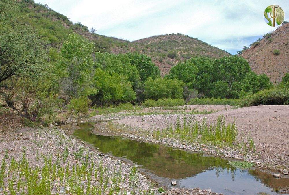 Santa Cruz River, San Lazaro, Sonora