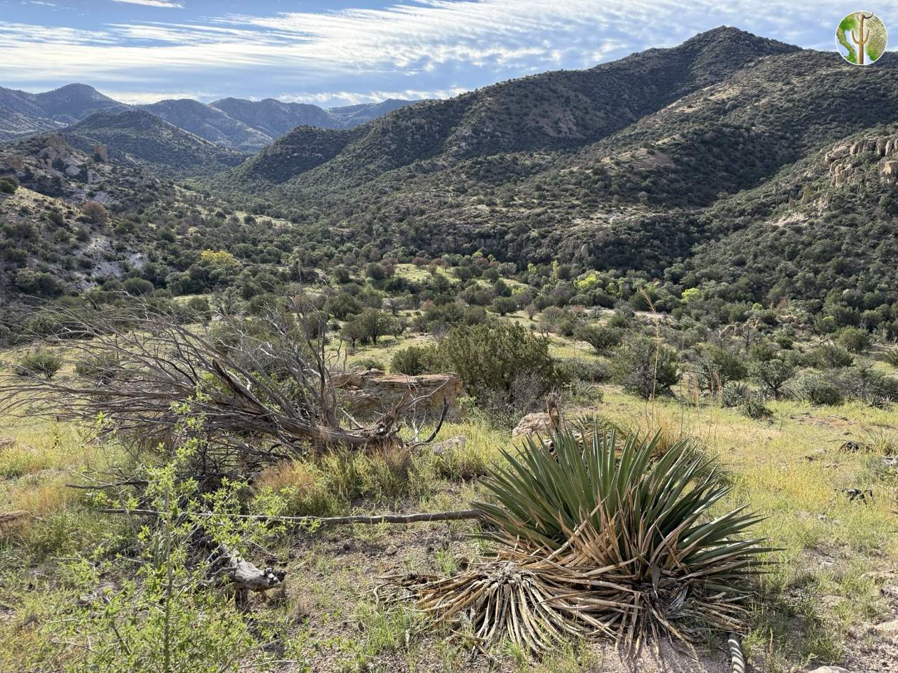 Peloncillo Mountains