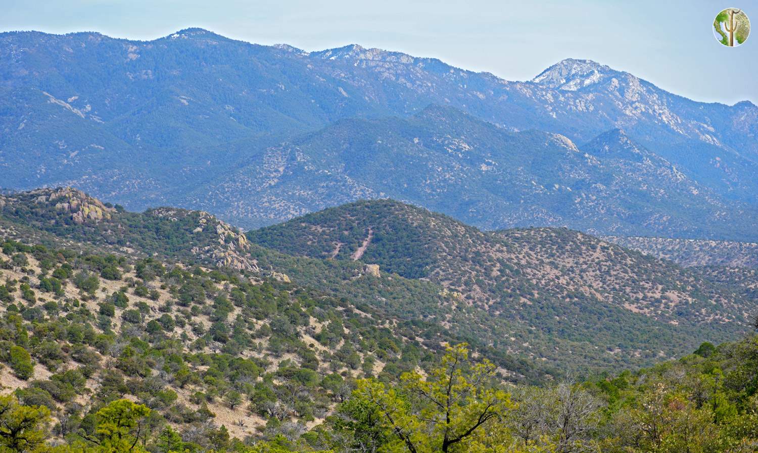 Huachuca Mountains